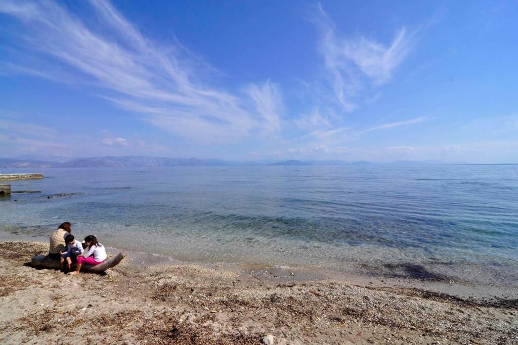 Mon Repo Palace Apartment Corfu  外观 照片